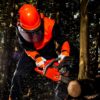 Zestaw ochronny dla pilarzy Portwest PW98 nauszniki hełm ochronny kask osłona siatkowa ochronniki słuchu pomarańczowe do pracy bhp pilarz leśnik przemysł drzewny zdjęcie plenerowe